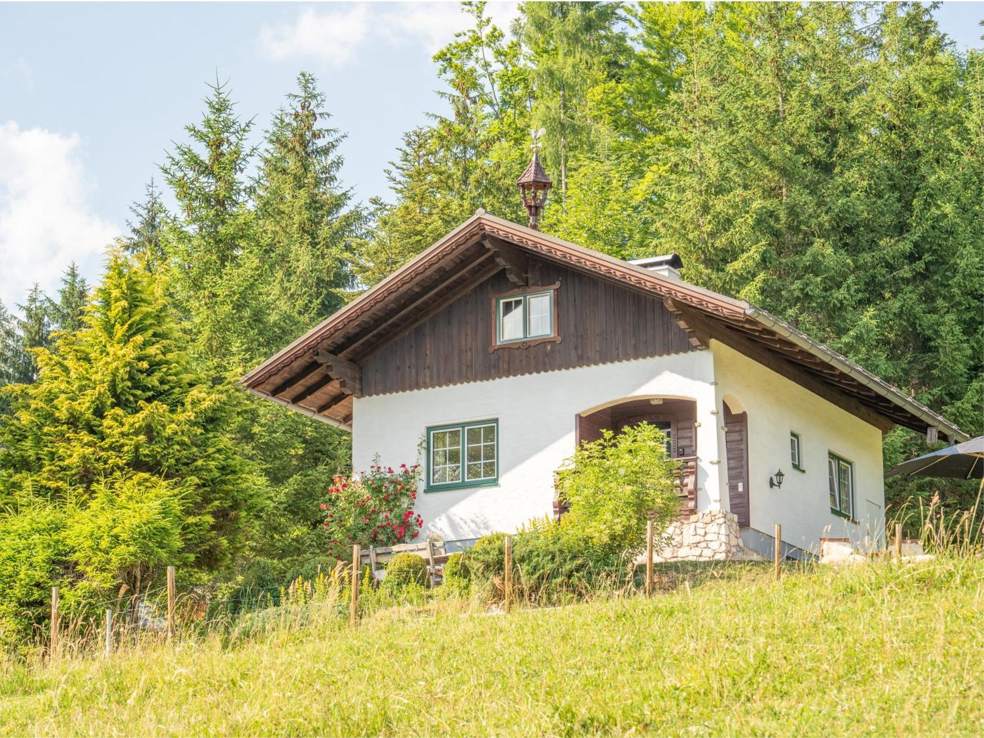 Strickerl Villa Bad Goisern Exterior photo
