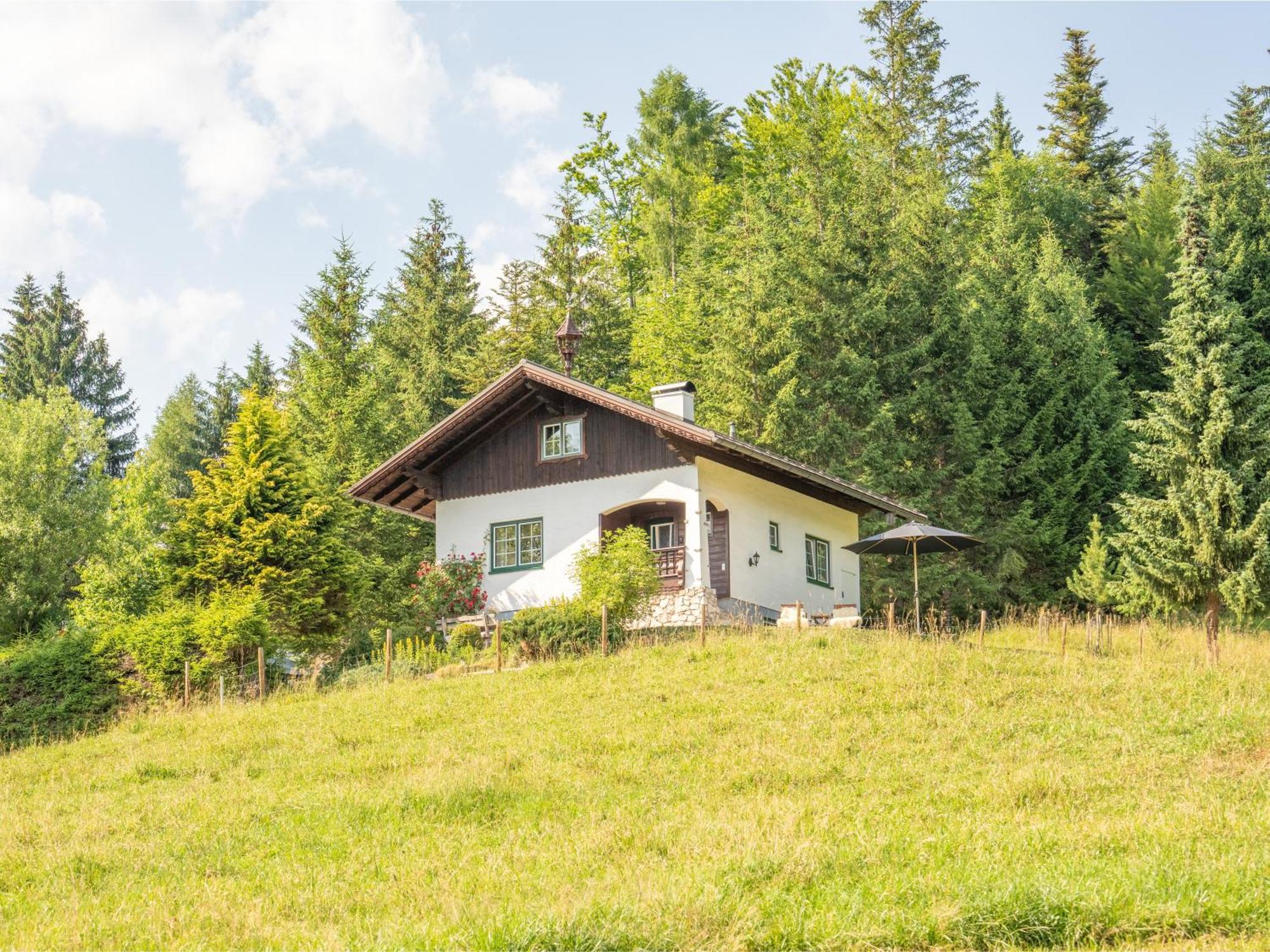 Strickerl Villa Bad Goisern Exterior photo